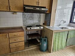 Blk 287 Tampines Street 22 (Tampines), HDB 3 Rooms #567418601